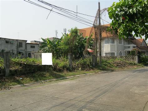 Lot vacant paranaque .